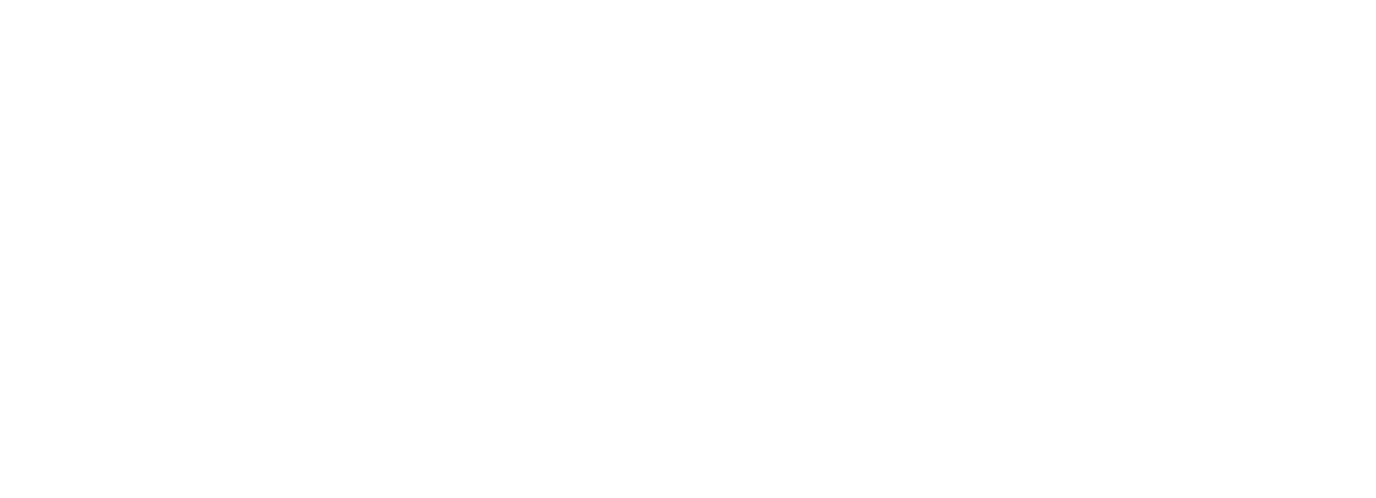 Nora Logo